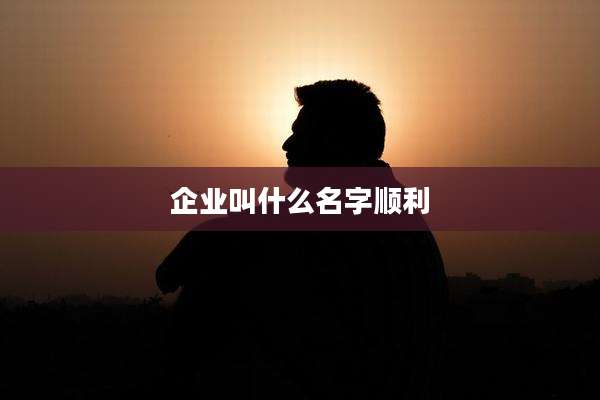 企业叫什么名字顺利