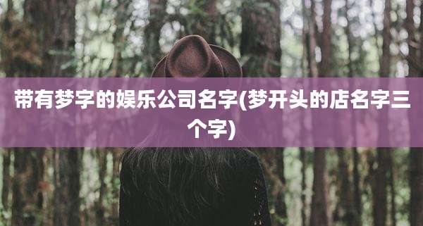 带有梦字的娱乐公司名字(梦开头的店名字三个字)