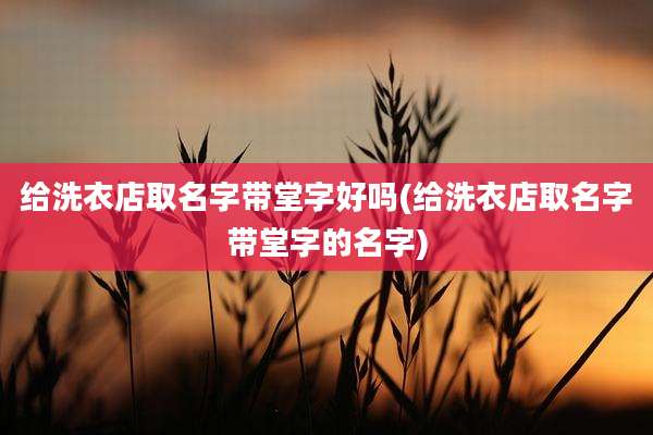 给洗衣店取名字带堂字好吗(给洗衣店取名字带堂字的名字)