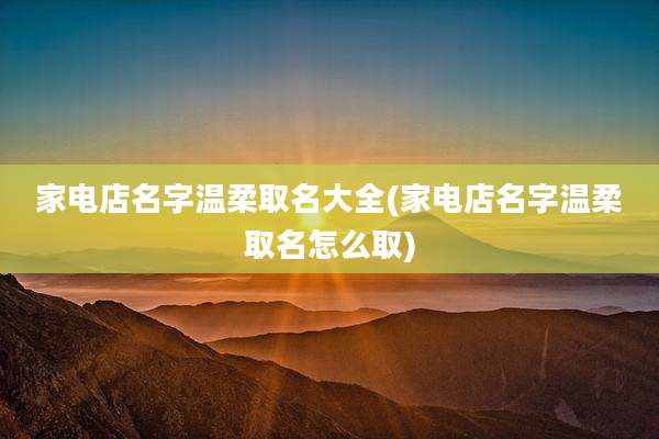 家电店名字温柔取名大全(家电店名字温柔取名怎么取)