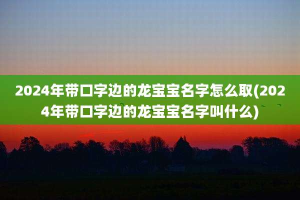 2024年带口字边的龙宝宝名字怎么取(2024年带口字边的龙宝宝名字叫什么)