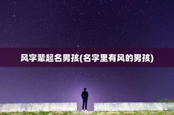 风字辈起名男孩(名字里有风的男孩)