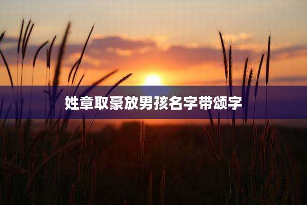 姓章取豪放男孩名字带颂字