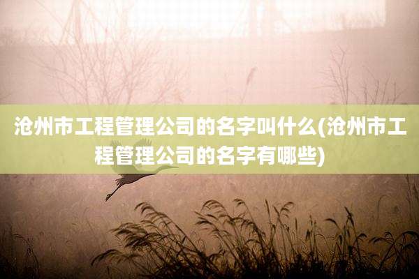 沧州市工程管理公司的名字叫什么(沧州市工程管理公司的名字有哪些)