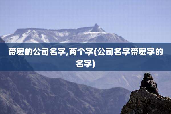 带宏的公司名字,两个字(公司名字带宏字的名字)