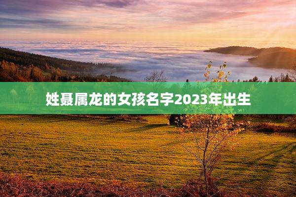 姓聂属龙的女孩名字2023年出生