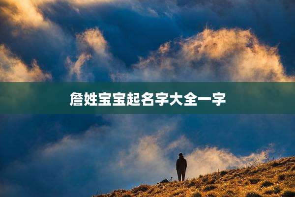 詹姓宝宝起名字大全一字