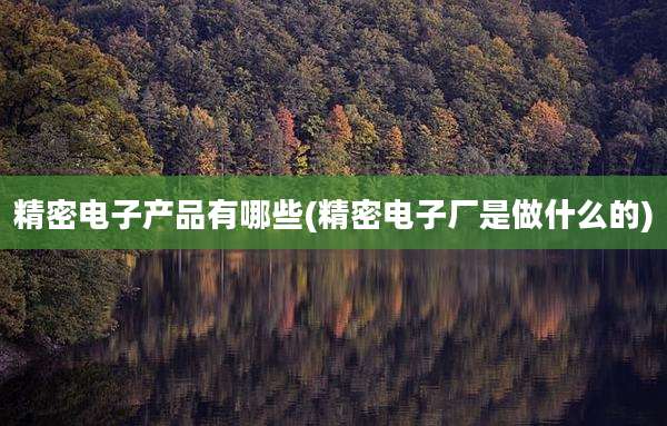 精密电子产品有哪些(精密电子厂是做什么的)
