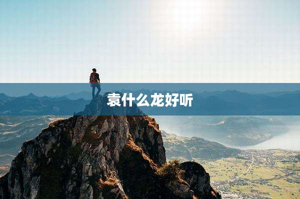 袁什么龙好听