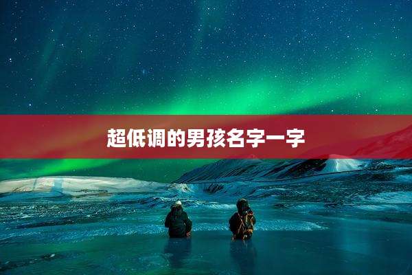 超低调的男孩名字一字