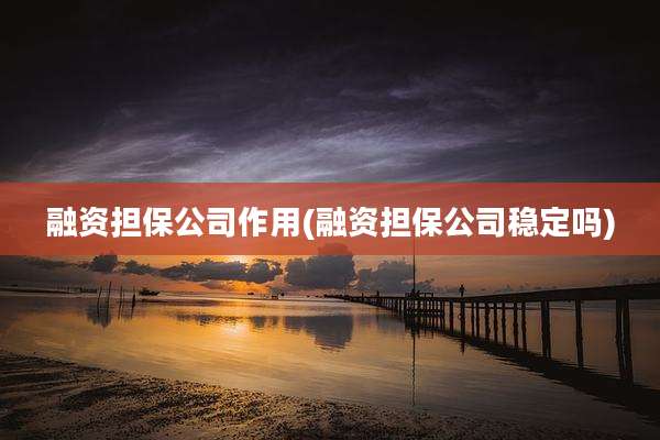 融资担保公司作用(融资担保公司稳定吗)