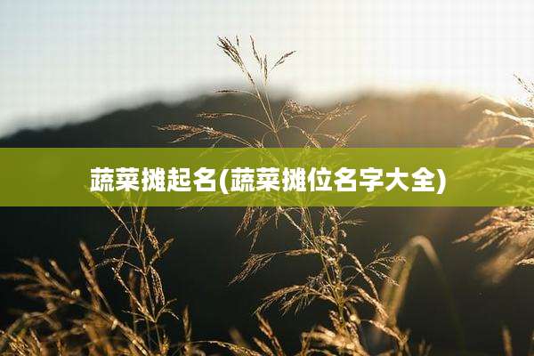蔬菜摊起名(蔬菜摊位名字大全)