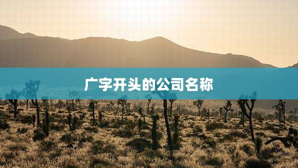 广字开头的公司名称
