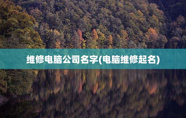维修电脑公司名字(电脑维修起名)