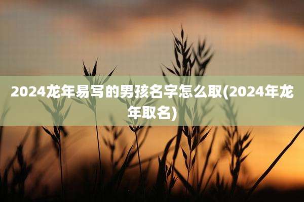 2024龙年易写的男孩名字怎么取(2024年龙年取名)