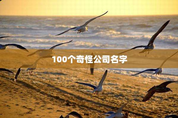 100个奇怪公司名字