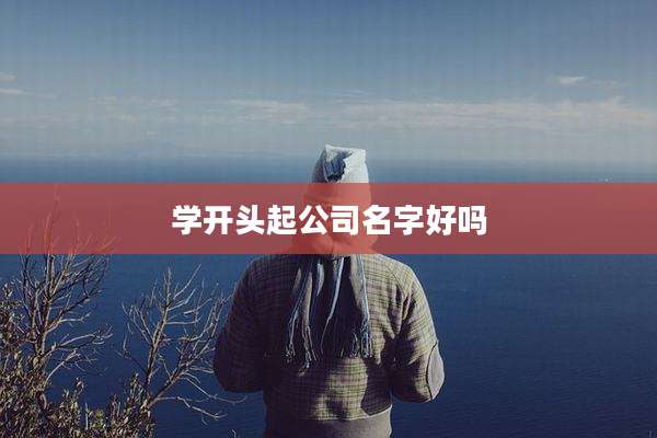 学开头起公司名字好吗