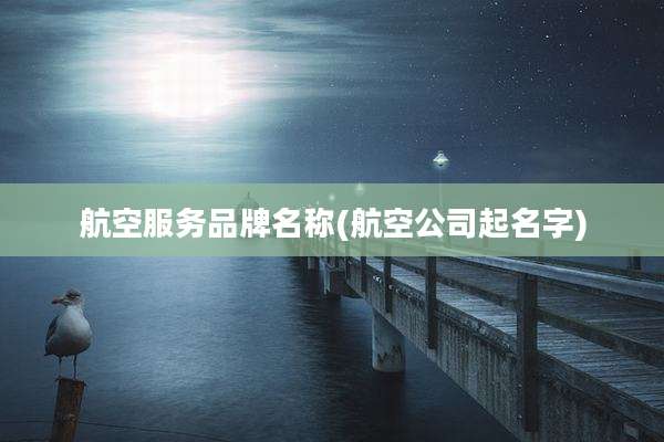 航空服务品牌名称(航空公司起名字)