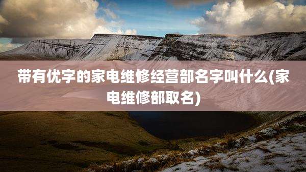 带有优字的家电维修经营部名字叫什么(家电维修部取名)