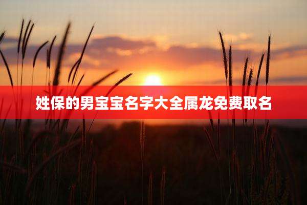 姓保的男宝宝名字大全属龙免费取名