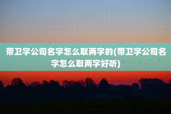 带卫字公司名字怎么取两字的(带卫字公司名字怎么取两字好听)