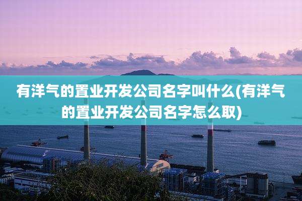 有洋气的置业开发公司名字叫什么(有洋气的置业开发公司名字怎么取)