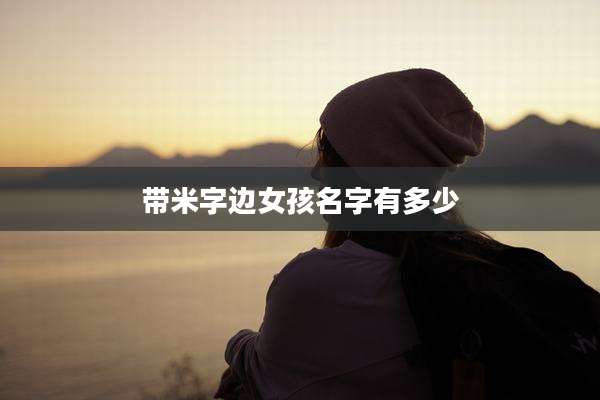 带米字边女孩名字有多少