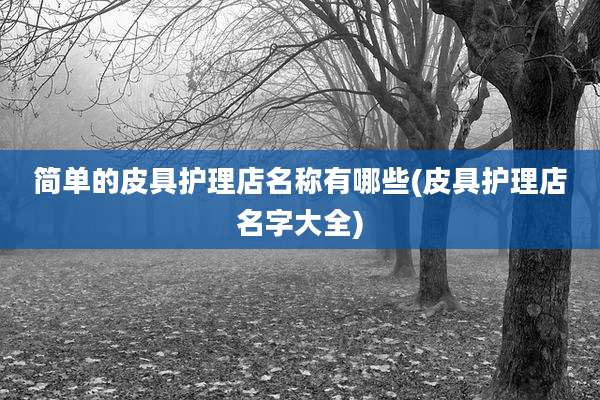 简单的皮具护理店名称有哪些(皮具护理店名字大全)