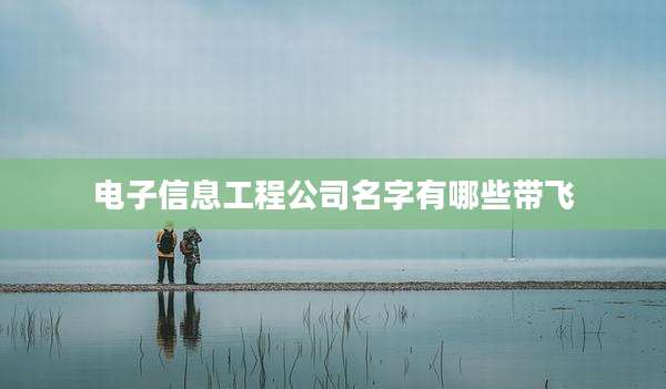 电子信息工程公司名字有哪些带飞