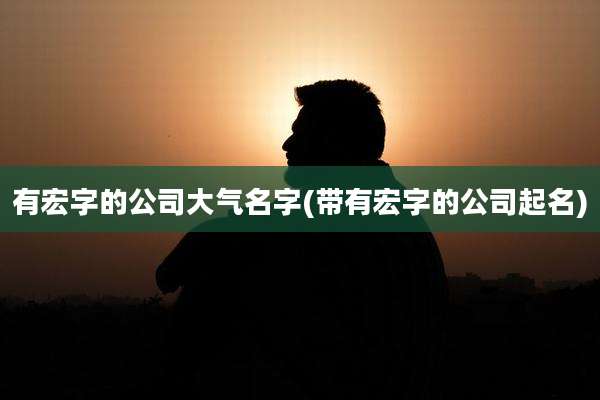 有宏字的公司大气名字(带有宏字的公司起名)