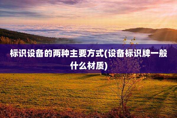 标识设备的两种主要方式(设备标识牌一般什么材质)