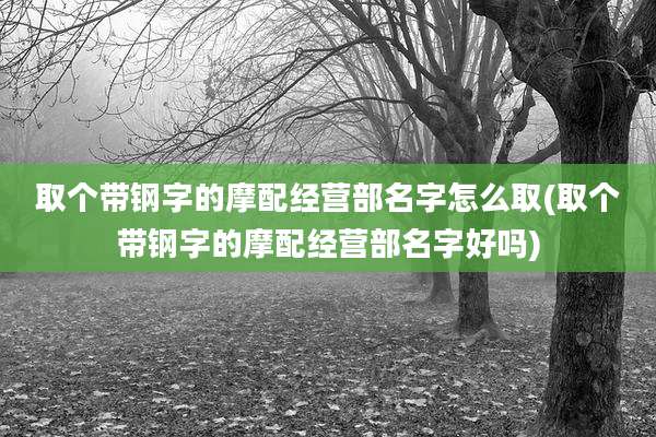 取个带钢字的摩配经营部名字怎么取(取个带钢字的摩配经营部名字好吗)