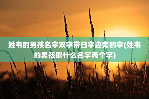 姓韦的男孩名字双字带日字边旁的字(姓韦的男孩取什么名字两个字)