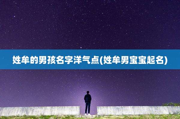 姓牟的男孩名字洋气点(姓牟男宝宝起名)