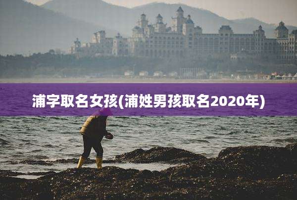 浦字取名女孩(浦姓男孩取名2020年)