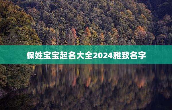 保姓宝宝起名大全2024雅致名字