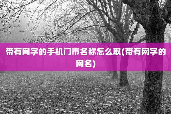 带有网字的手机门市名称怎么取(带有网字的网名)
