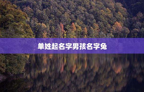 单姓起名字男孩名字兔