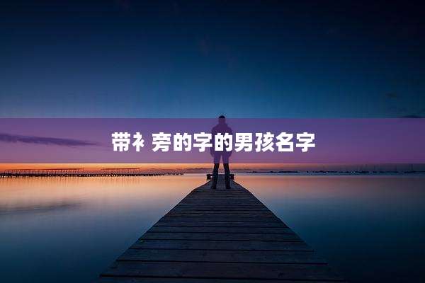 带衤旁的字的男孩名字