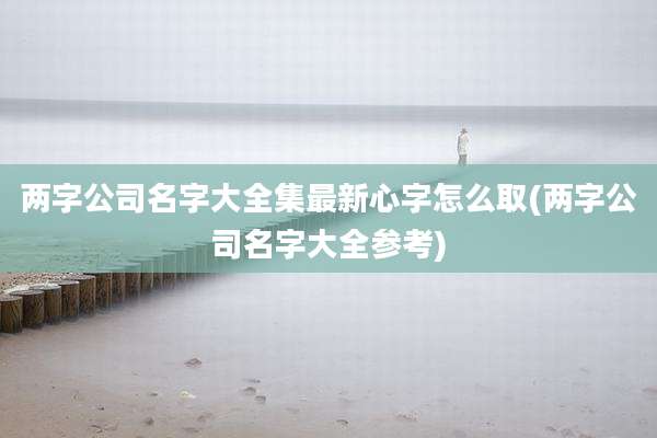 两字公司名字大全集最新心字怎么取(两字公司名字大全参考)