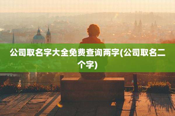 公司取名字大全免费查询两字(公司取名二个字)