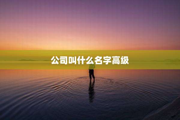 公司叫什么名字高级