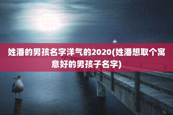 姓潘的男孩名字洋气的2020(姓潘想取个寓意好的男孩子名字)