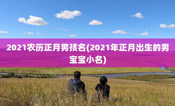 2021农历正月男孩名(2021年正月出生的男宝宝小名)