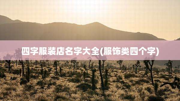 四字服装店名字大全(服饰类四个字)