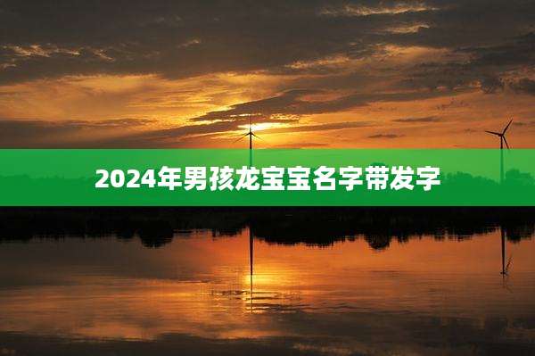 2024年男孩龙宝宝名字带发字