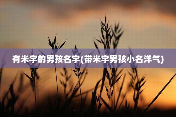 有米字的男孩名字(带米字男孩小名洋气)