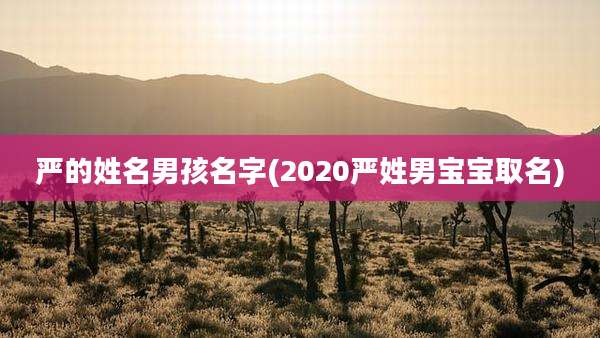 严的姓名男孩名字(2020严姓男宝宝取名)