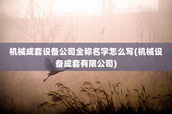 机械成套设备公司全称名字怎么写(机械设备成套有限公司)