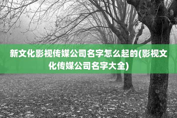 新文化影视传媒公司名字怎么起的(影视文化传媒公司名字大全)